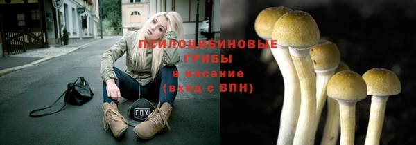 дмт Богородск