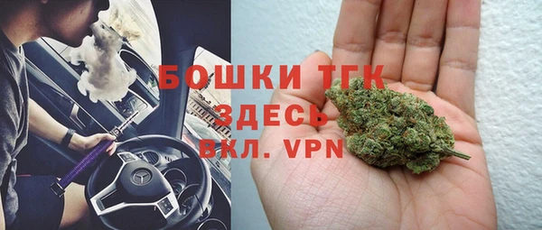 дмт Богородск