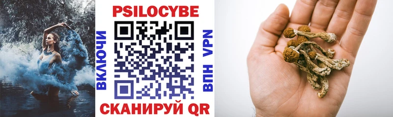 Псилоцибиновые грибы Psilocybine cubensis  Навашино 